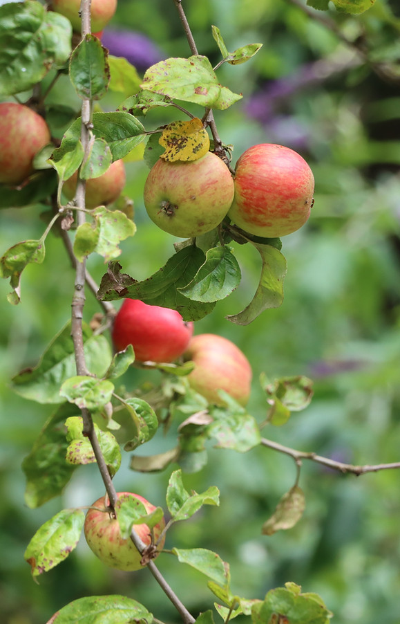 Angebot Barbara Rudek